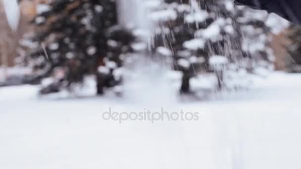 Hand gieten sneeuw in de winter forest — Stockvideo
