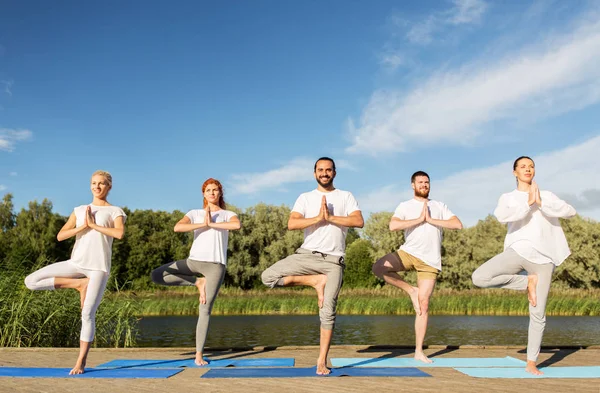 Mensen die yoga in boom pose op de mat buitenshuis — Stockfoto