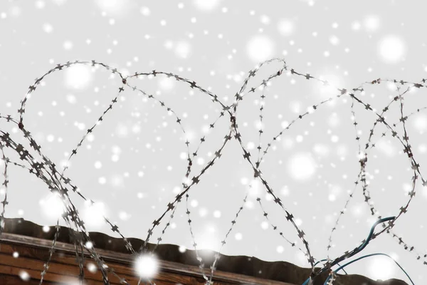 Barb wire omheining over grijze lucht en sneeuw — Stockfoto