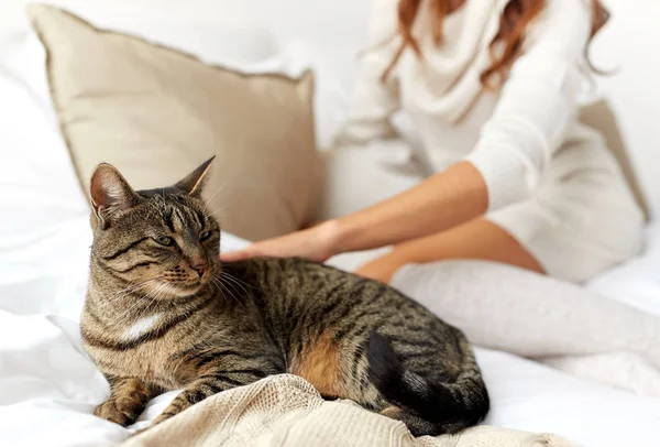 집에서 침대에 누워 있는 고양이 함께 젊은 여성 — 스톡 사진
