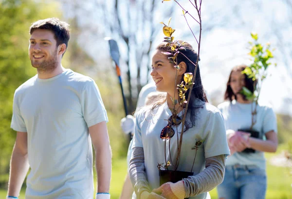 Gruppo di volontari con alberi e rastrello nel parco — Foto Stock