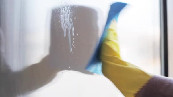Frau in Handschuhen putzt Fenster mit Lappen und Spray — Stockvideo