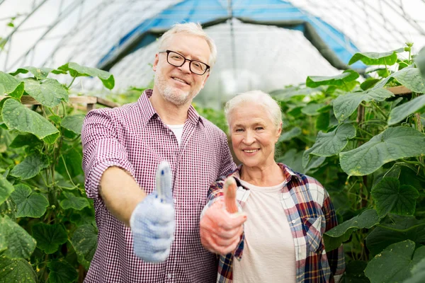 Happy senior couple at farm showing thumbs up — Stock Photo, Image