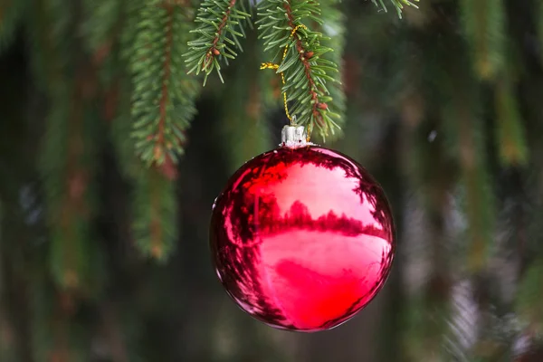 Bola roja de Navidad en rama de abeto con nieve —  Fotos de Stock