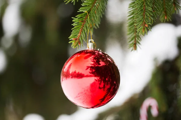 Bola roja de Navidad en rama de abeto con nieve —  Fotos de Stock