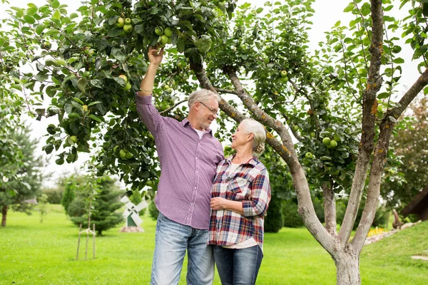 Äldre par med äppelträd på summer garden — Stockfoto