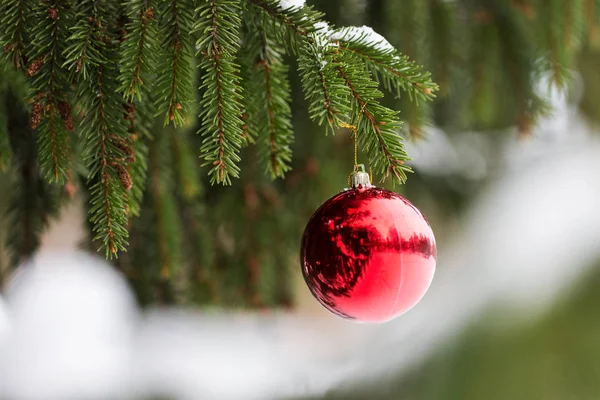Κόκκινη μπάλα Χριστούγεννα στο υποκατάστημα δέντρο έλατο με χιόνι — Φωτογραφία Αρχείου