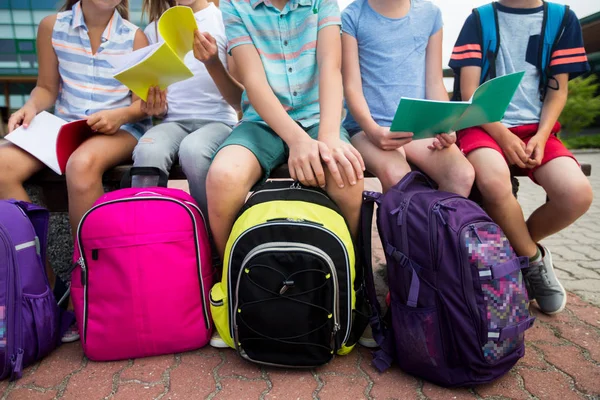 Estudiantes con mochilas escolares y cuadernos —  Fotos de Stock