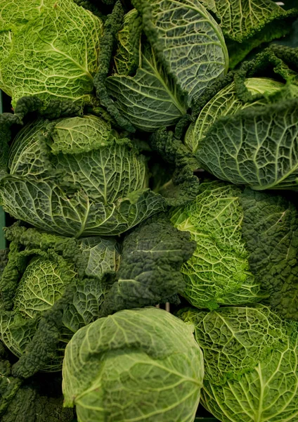 Close up of savoy cabbages Stock Picture