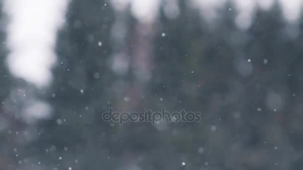 Neve o nevicate all'aperto in inverno — Video Stock