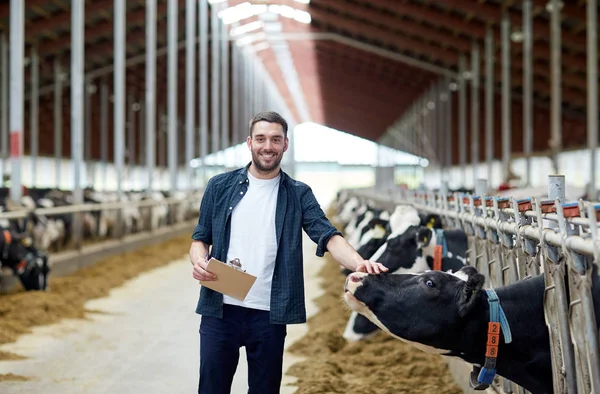 Agricultor com prancheta e vacas em estábulo na fazenda — Fotografia de Stock
