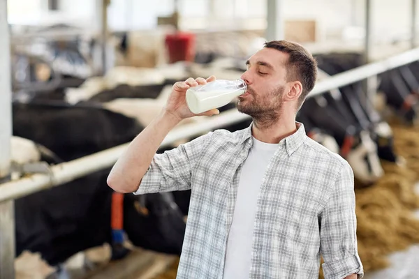 Homem ou agricultor que bebe leite de vaca na exploração leiteira — Fotografia de Stock