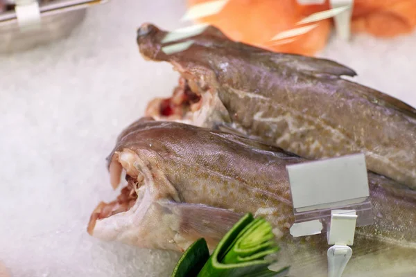Färsk fisk på isen vid livsmedelsbutiker stall — Stockfoto