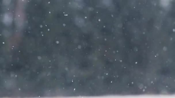 Снег или снегопад на открытом воздухе зимой — стоковое видео