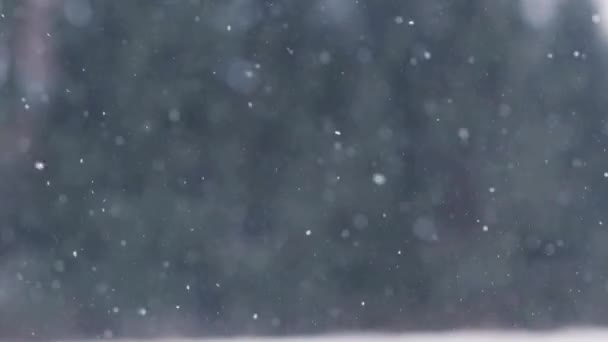 Снег или снегопад на открытом воздухе зимой — стоковое видео