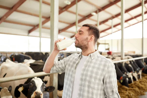 Hombre o agricultor que bebe leche de vaca en una granja lechera —  Fotos de Stock