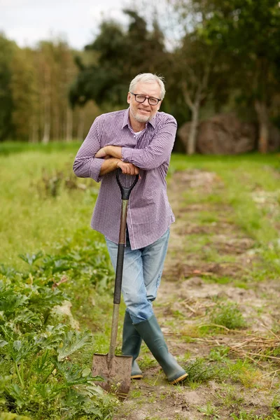 Щасливий старший чоловік з лопатою в саду або на фермі — стокове фото