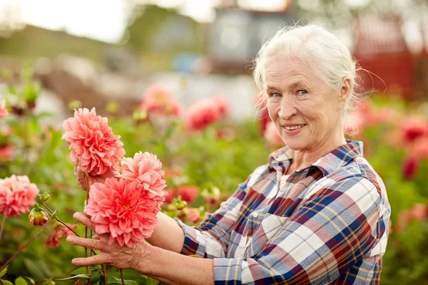Senior woman with flowers at summer garden — Stock Photo, Image