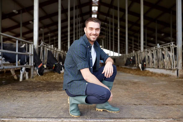 Man or farmer with cows in cowshed on dairy farm — Stock Photo, Image