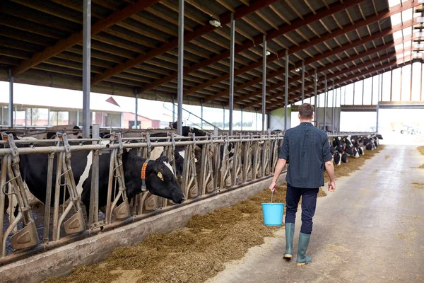 Człowiek z wiadrem, chodzenie w oborze na gospodarstwa mlecznego — Zdjęcie stockowe