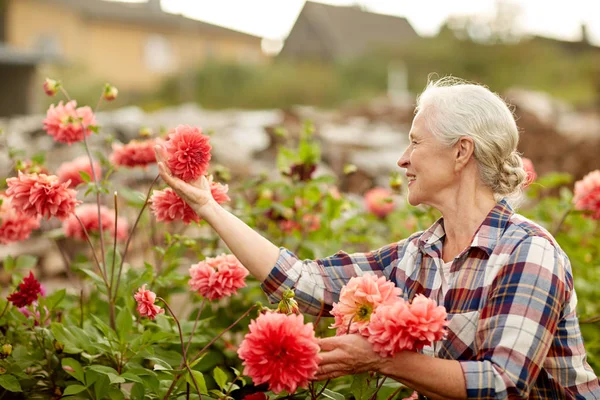 Mujer mayor con flores en el jardín de verano — Foto de Stock