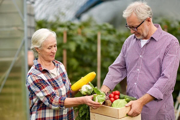 Senior couple with box of cucumbers on farm — Stock Photo, Image