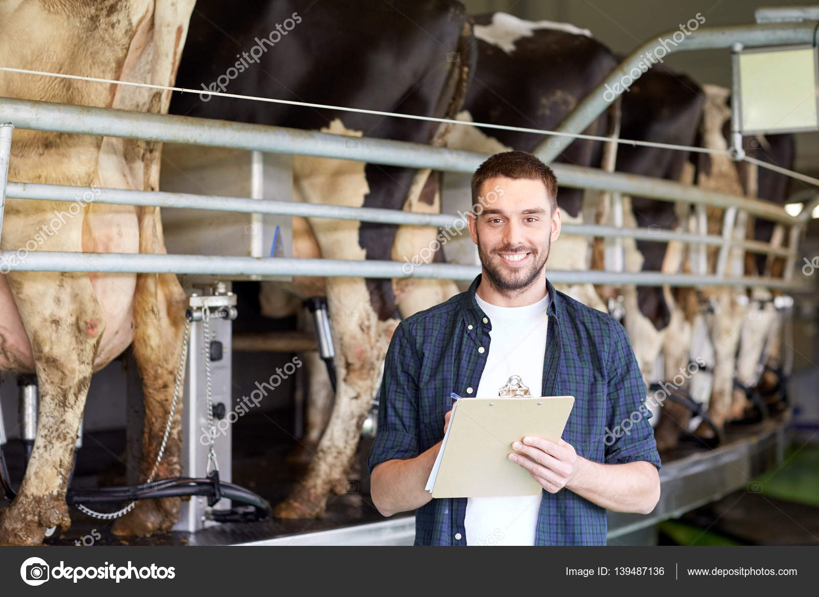 Young Farmer Milking Cows