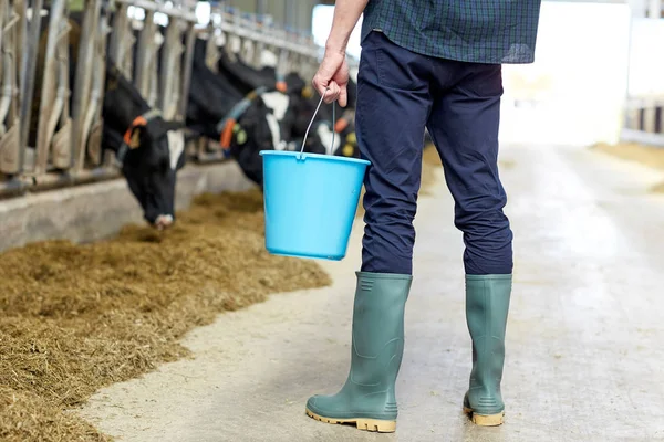 Mann mit Eimer im Kuhstall auf Milchviehbetrieb — Stockfoto