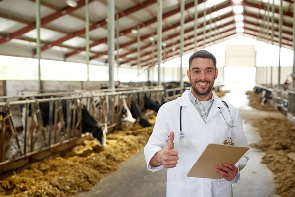 Veterinario con vacas mostrando pulgares hacia arriba en la granja — Foto de Stock