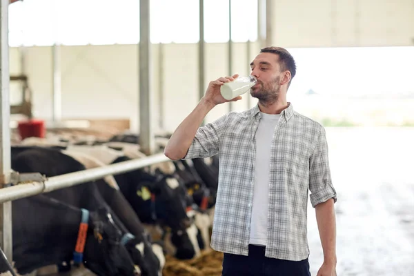 Muž, nebo zemědělec pití kravského mléka na mléčné farmě — Stock fotografie