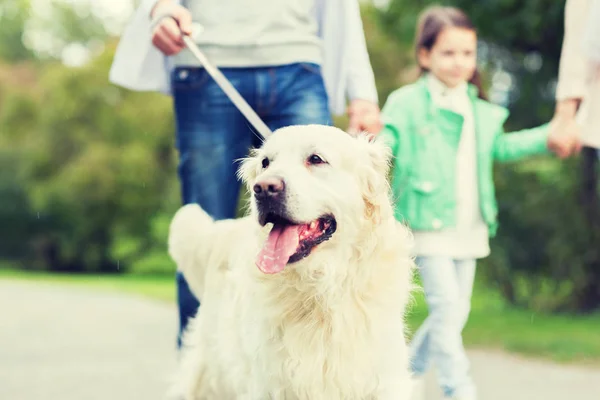 Close up of family with labrador dog in park — Stock Photo, Image