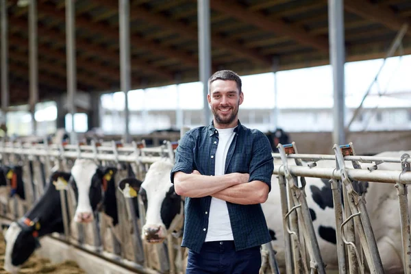 Homem ou agricultor com vacas em estábulo na exploração leiteira — Fotografia de Stock