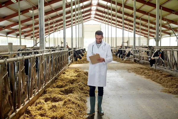 Veterinär med kor i ladugården på mjölkgård — Stockfoto