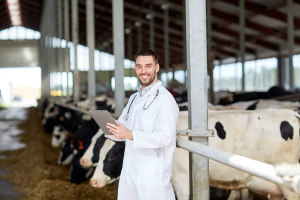 Tierarzt mit Tablet-PC und Kühen auf Milchviehbetrieb — Stockfoto