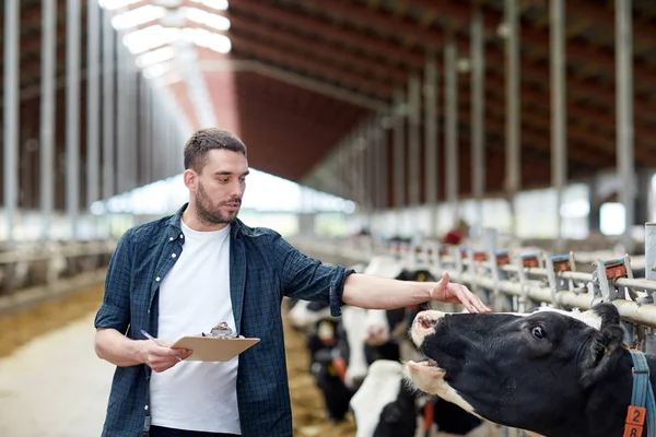 Mezőgazdasági termelő vágódeszkával és tehénnel a tehénistállóban a gazdaságban — Stock Fotó