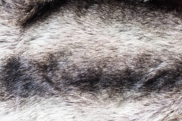 Close up of Fur fone — стоковое фото
