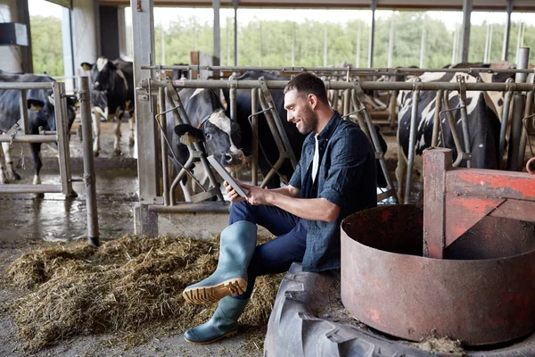 Молодий чоловік з планшетним ПК і коровами на молочній фермі — стокове фото