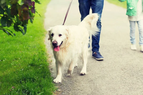 Primer plano de familia con perro labrador en parque — Foto de Stock