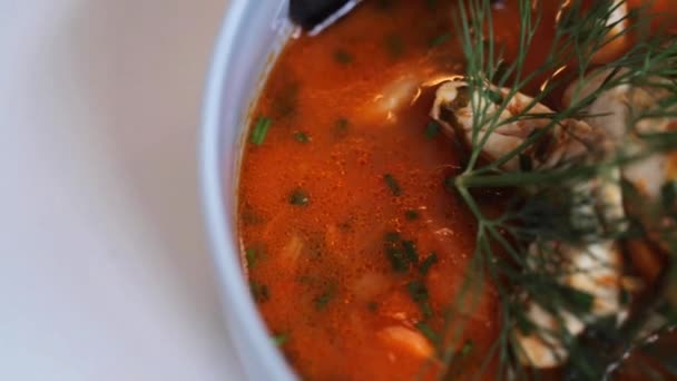 Close up of seafood soup with fish and mussels — Stock Video