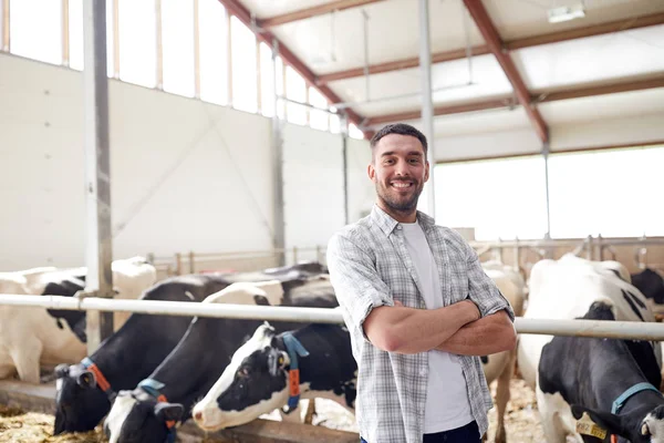 Ember vagy a mezőgazdasági termelő a tehenek a tehénistálló, a tejüzem — Stock Fotó