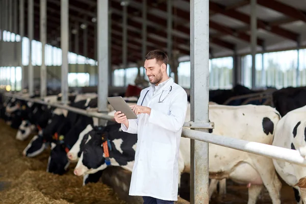 Veterinário com tablet pc e vacas na fazenda leiteira — Fotografia de Stock