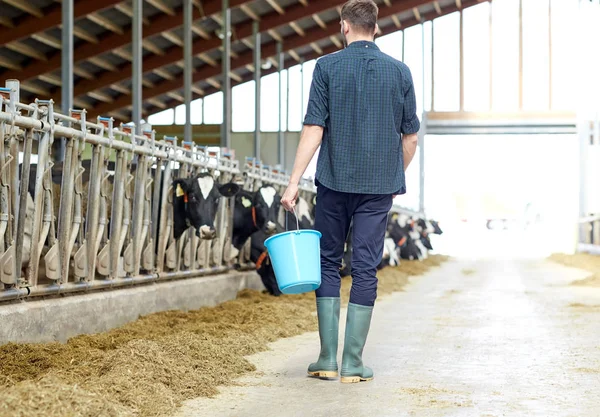 Hombre con cubo caminando en establo en granja lechera —  Fotos de Stock