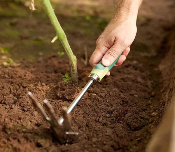 Senior man met schoffel wieden tuin bed — Stockfoto