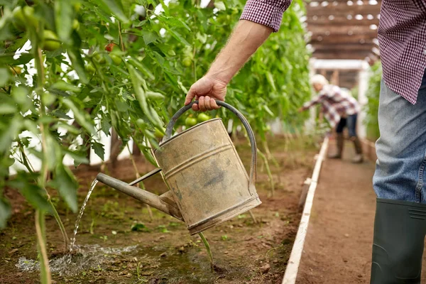 Senior man with watering can at farm greenhouse — Stock Photo, Image