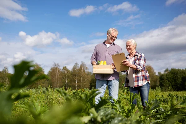 Glückliches Seniorenpaar mit Kürbissen auf Bauernhof — Stockfoto