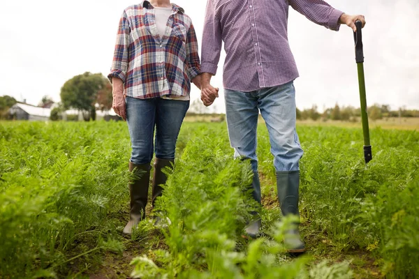幸福的高级夫妇在夏季农场 — 图库照片