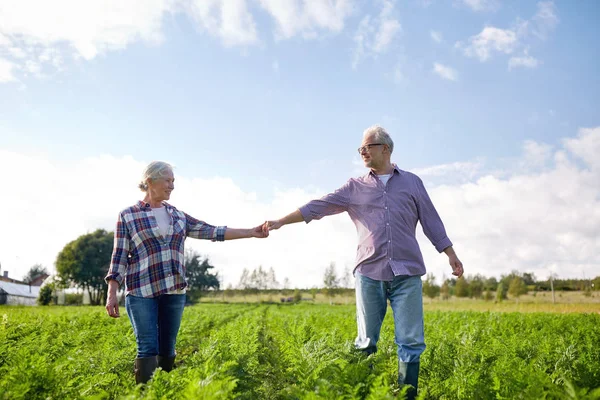 Ευτυχισμένο ζευγάρι ηλικιωμένων κρατώντας τα χέρια στο θερινό αγρόκτημα — Φωτογραφία Αρχείου