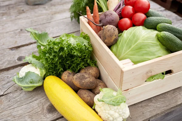 Close up of vegetables on farm — Stock Photo, Image