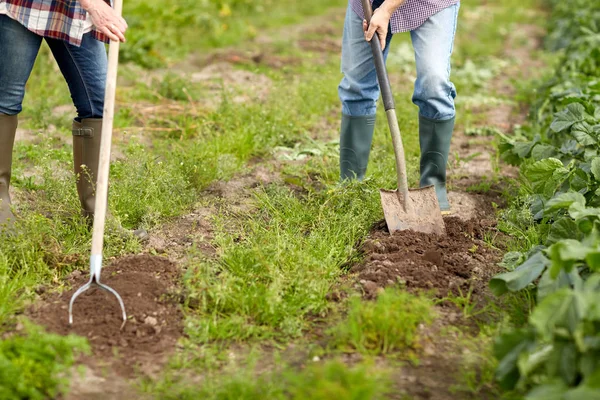 用铁铲铲在花园或农场的年长夫妇 — 图库照片