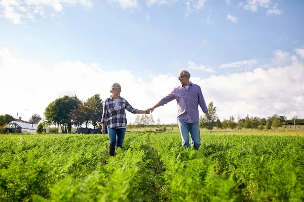 快乐的老夫妇牵着手在夏季农场 — 图库照片